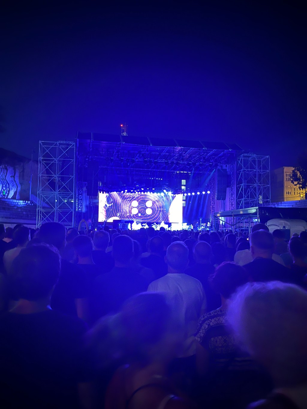 Veltšmerc u vrtlogu dubokog&nbsp;ljubičastog