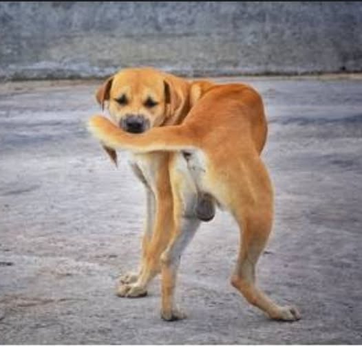 Што пожелиш другима, пожели и&nbsp;себи